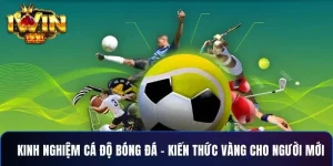 5+ Kinh Nghiệm Soi Kèo Bóng Bắt Cá Độ Thắng Lớn Tại IWIN